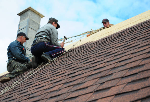 Best Roof Leak Repair  in Chesterfield, IN